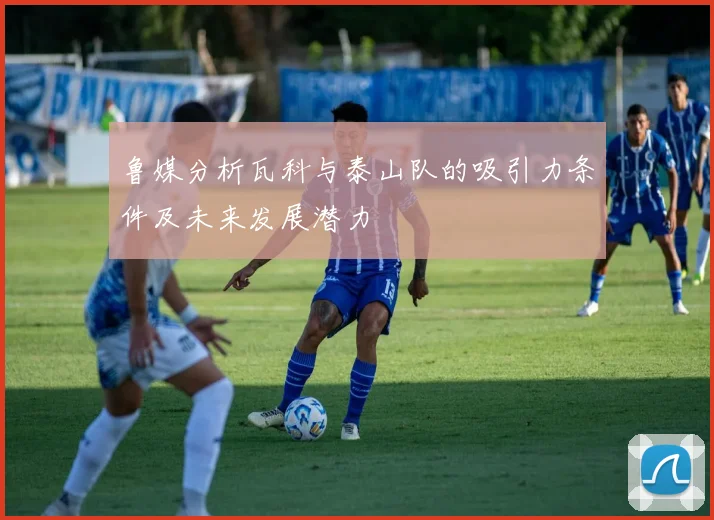 鲁媒分析瓦科与泰山队的吸引力条件及未来发展潜力