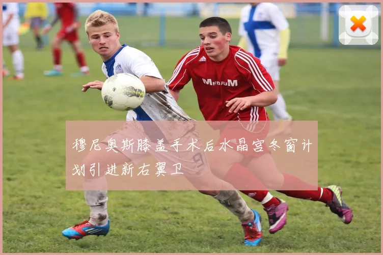 穆尼奥斯膝盖手术后水晶宫冬窗计划引进新右翼卫