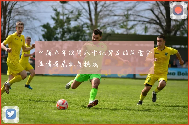 中赫九年投资八十亿背后的民营企业债务危机与挑战
