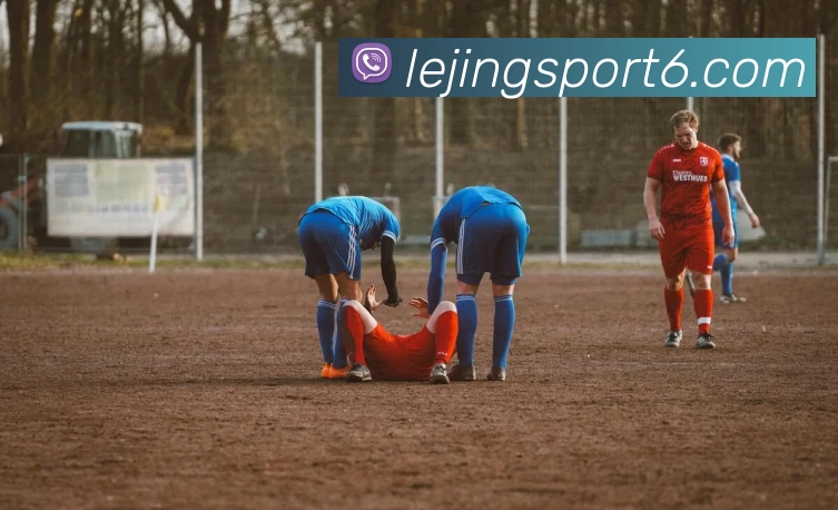 乐竞体育平台生态图